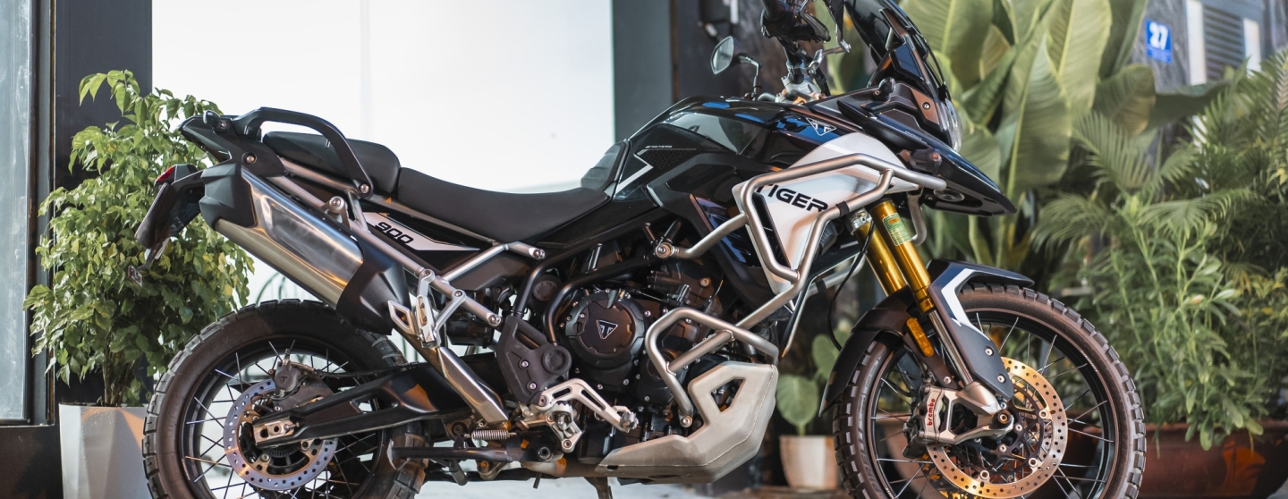 TRIUMPH TIGER 900 RALLY PRO 2024