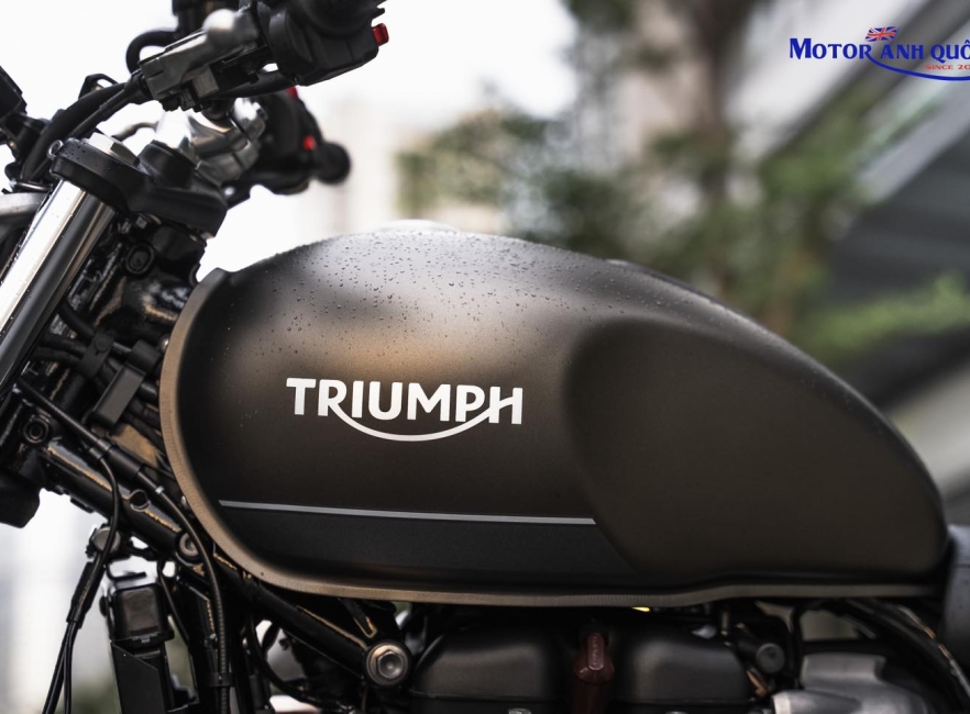 Triumph Speed Twin 900 2022