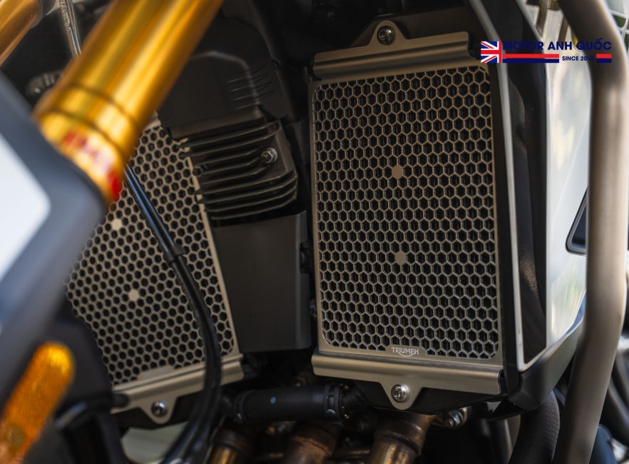 TRIUMPH TIGER 900 RALLY PRO 2025 