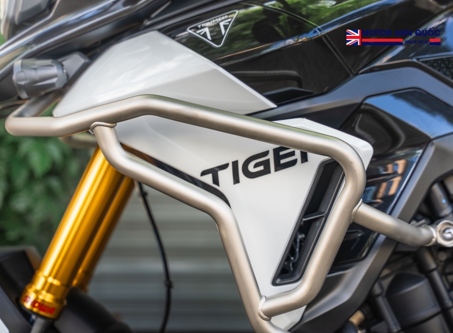 TRIUMPH TIGER 900 RALLY PRO 2025 