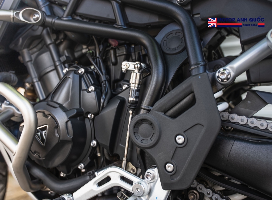 TRIUMPH TIGER 900 RALLY PRO 2025 