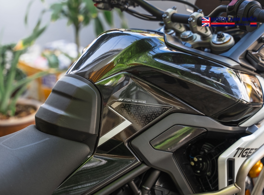 TRIUMPH TIGER 900 RALLY PRO 2025 