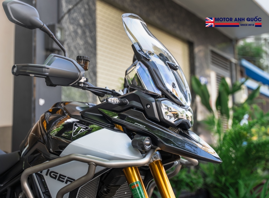 TRIUMPH TIGER 900 RALLY PRO 2025 