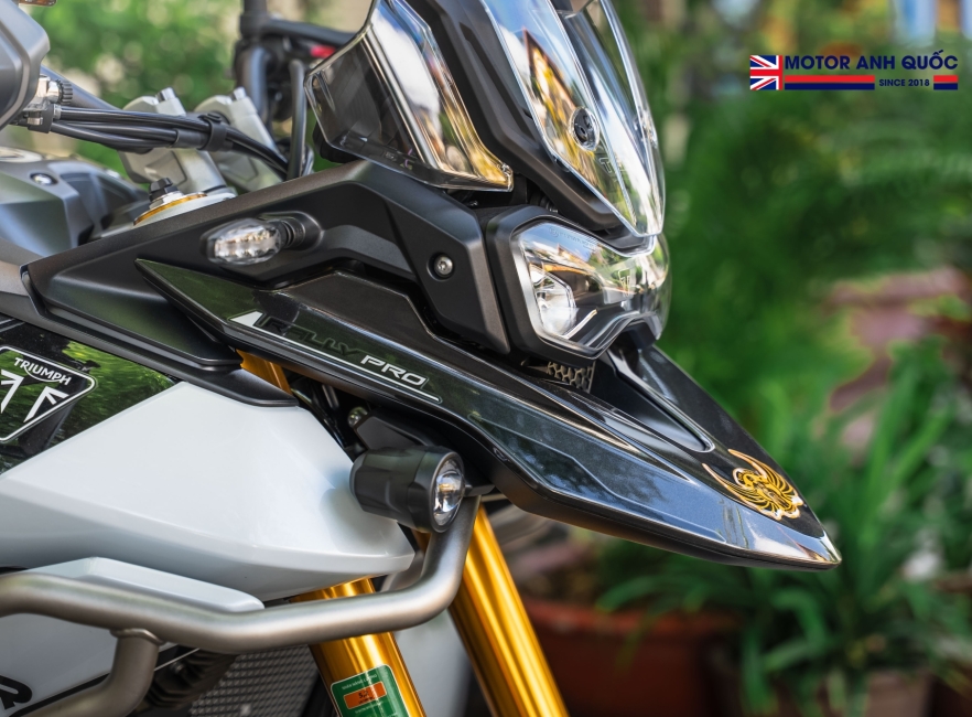 TRIUMPH TIGER 900 RALLY PRO 2025 