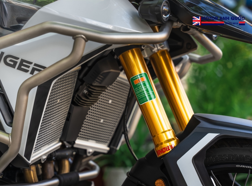 TRIUMPH TIGER 900 RALLY PRO 2025 