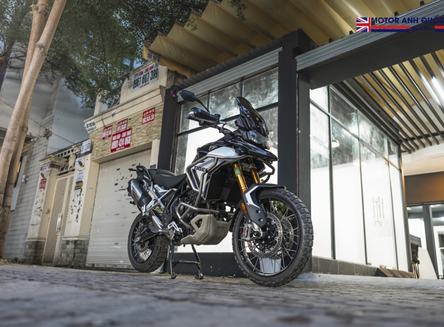 Tiger 900 rally pro 2024
