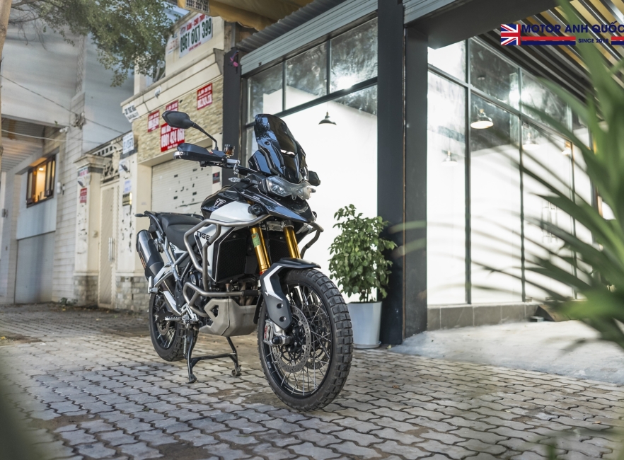 Tiger 900 rally pro 2024