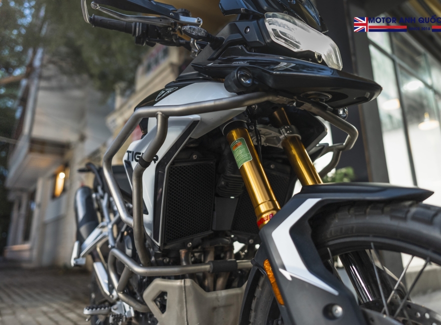Tiger 900 rally pro 2024