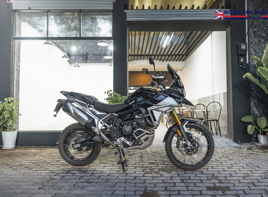Tiger 900 rally pro 2024