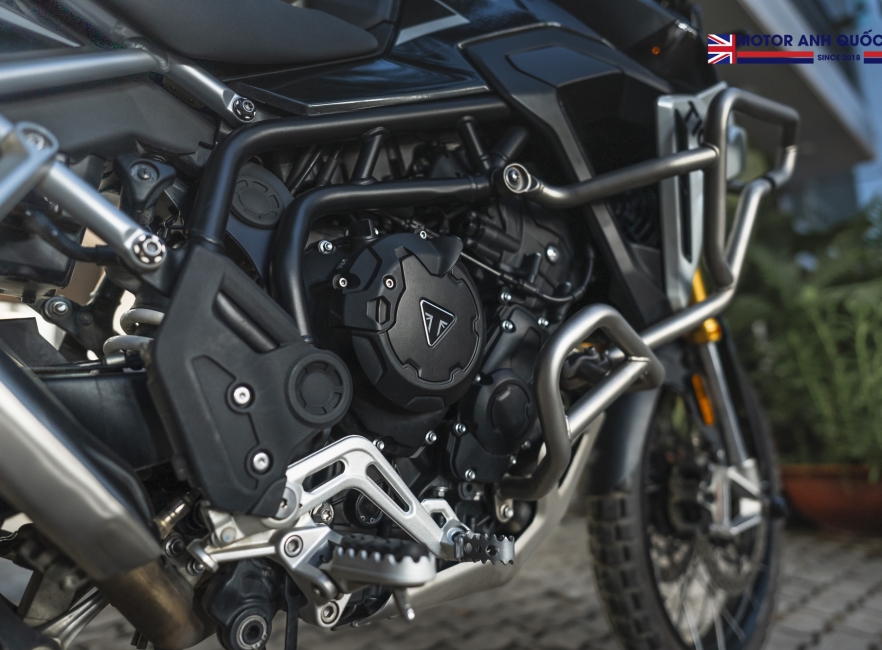 Tiger 900 rally pro 2024