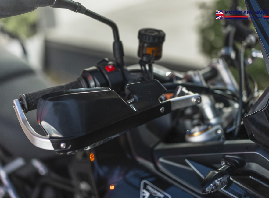 Tiger 900 rally pro 2024