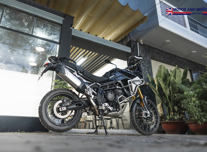 Tiger 900 rally pro 2024