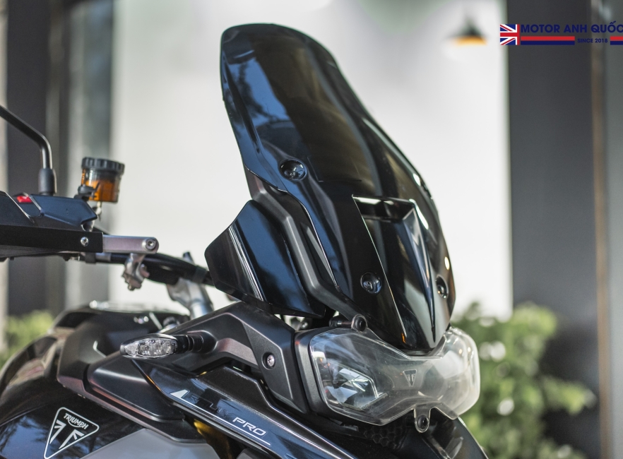 Tiger 900 rally pro 2024