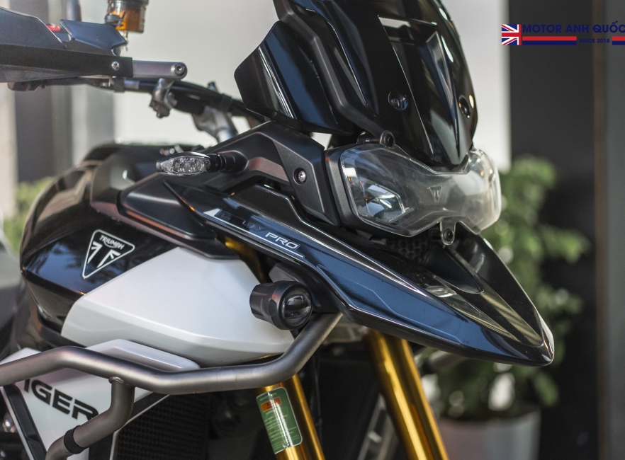 Tiger 900 rally pro 2024