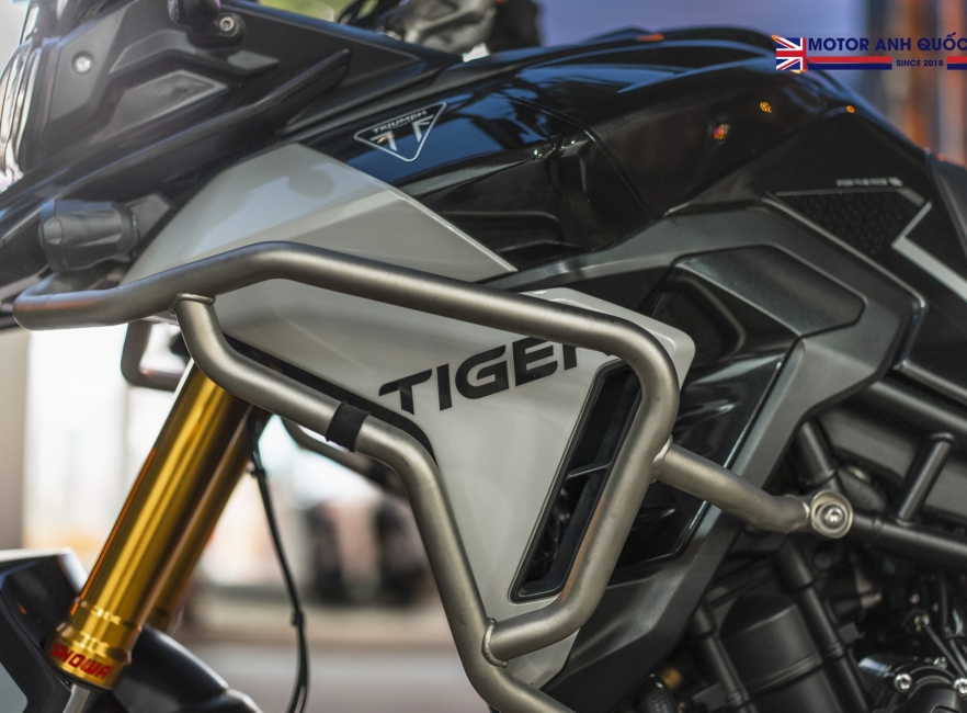 Tiger 900 rally pro 2024