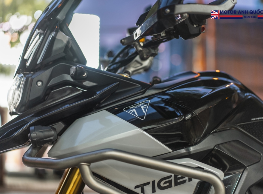 Tiger 900 rally pro 2024