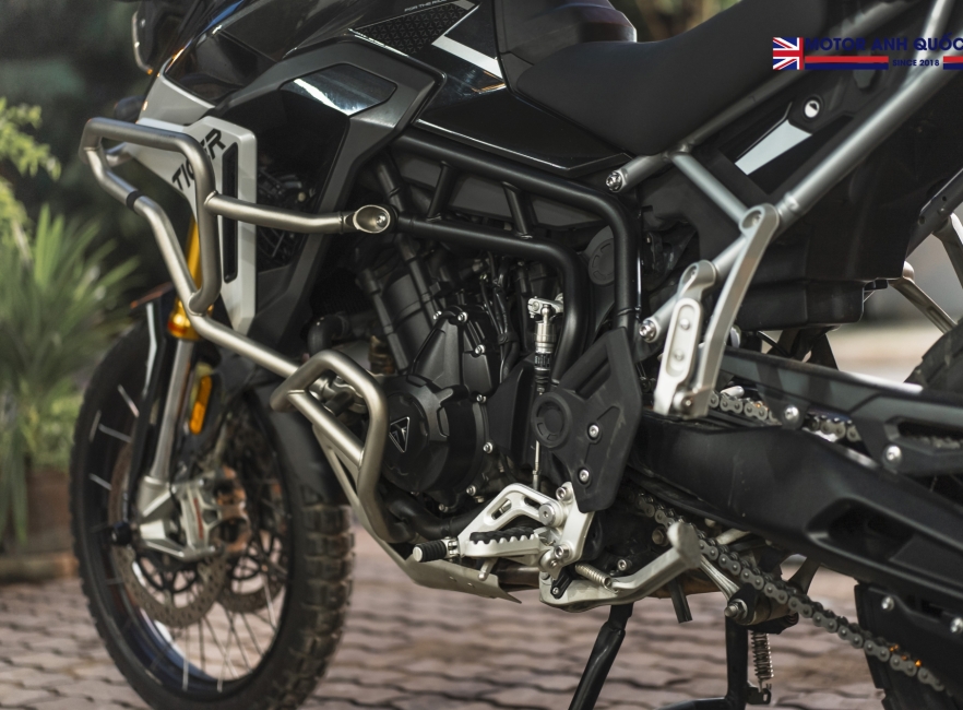 Tiger 900 rally pro 2024