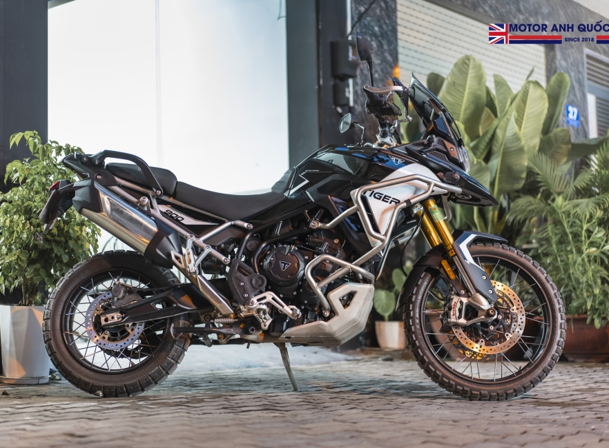 Tiger 900 rally pro 2024
