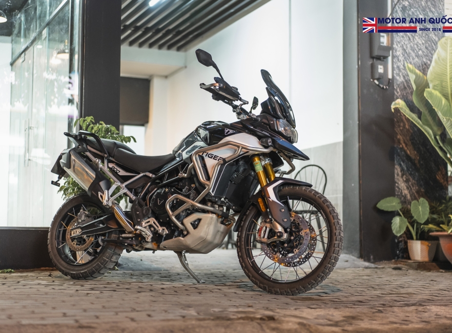 Tiger 900 rally pro 2024