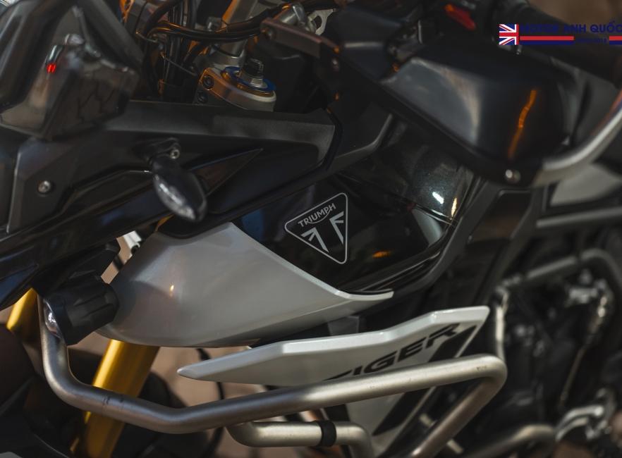 Tiger 900 rally pro 2024