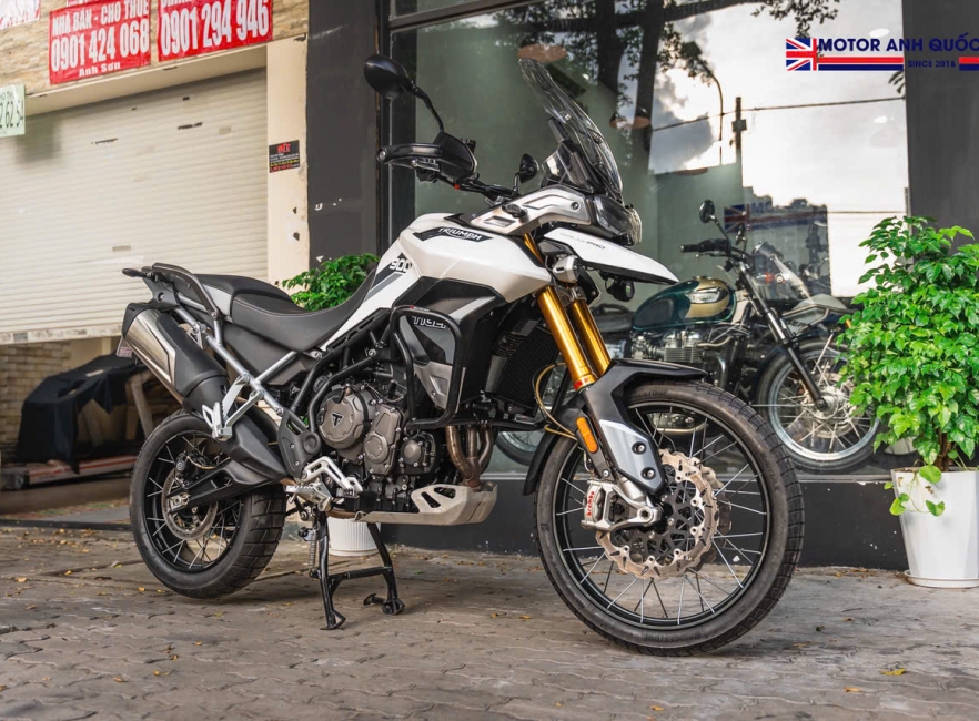 Tiger 900 Rally Pro 
