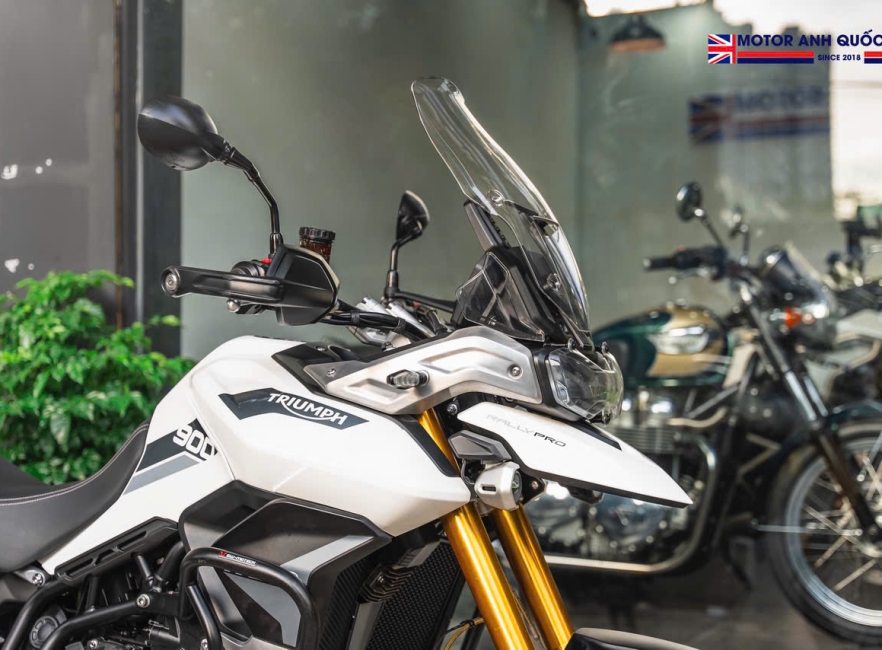 Tiger 900 Rally Pro 