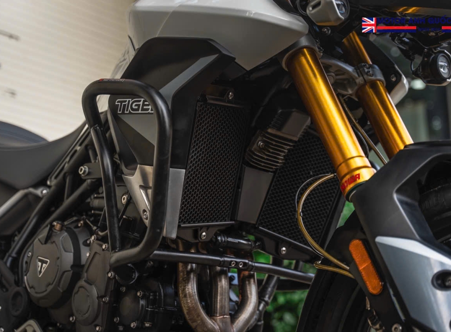 Tiger 900 Rally Pro 