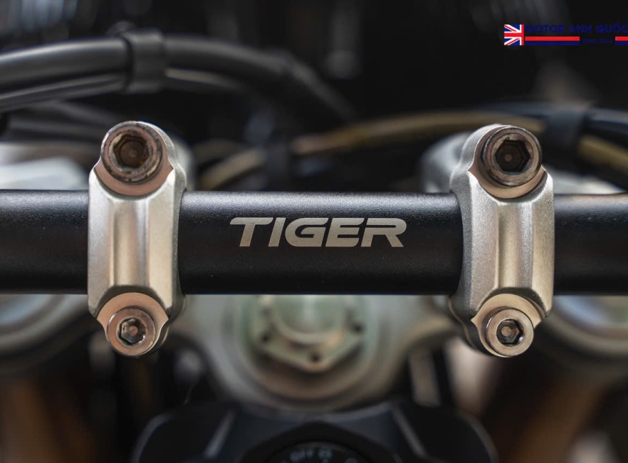 Tiger 900 Rally Pro 