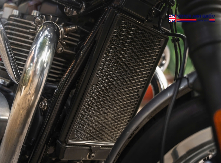 Bonneville T120 Gold Line S