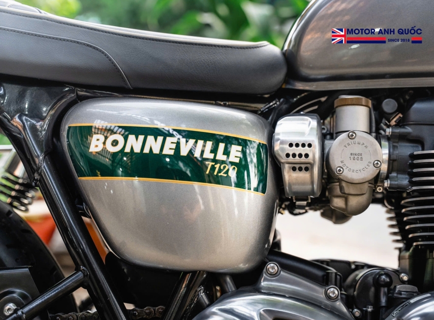 Bonneville T120 Gold Line S